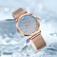 Relógios de luxo Net HOT 2020 personalizados Full Starry sky Relógios femininos de luxo Relógios de pulso elegantes de quartzo feminino